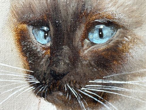 EARLY 20TH CENTURY OIL PAINTING PORTRAIT SIAMESE CAT ANIMAL C1920 - ADDITIONAL PHOTO 19