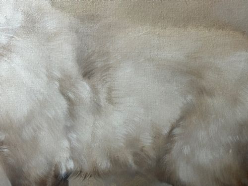 EARLY 20TH CENTURY OIL PAINTING PORTRAIT SIAMESE CAT ANIMAL C1920 - ADDITIONAL PHOTO 20