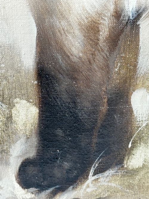 EARLY 20TH CENTURY OIL PAINTING PORTRAIT SIAMESE CAT ANIMAL C1920 - ADDITIONAL PHOTO 22