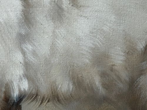 EARLY 20TH CENTURY OIL PAINTING PORTRAIT SIAMESE CAT ANIMAL C1920 - ADDITIONAL PHOTO 23