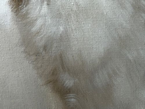 EARLY 20TH CENTURY OIL PAINTING PORTRAIT SIAMESE CAT ANIMAL C1920 - ADDITIONAL PHOTO 24