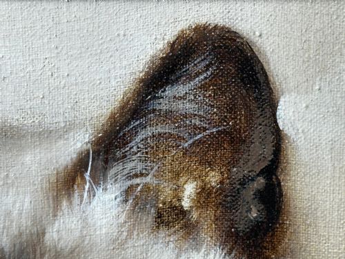 EARLY 20TH CENTURY OIL PAINTING PORTRAIT SIAMESE CAT ANIMAL C1920 - ADDITIONAL PHOTO 27
