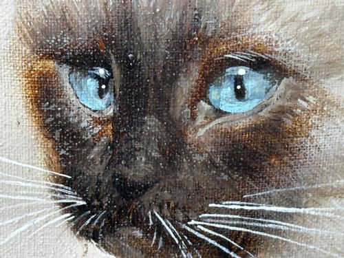 EARLY 20TH CENTURY OIL PAINTING PORTRAIT SIAMESE CAT ANIMAL C1920 - ADDITIONAL PHOTO 28