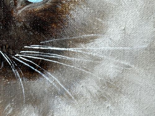 EARLY 20TH CENTURY OIL PAINTING PORTRAIT SIAMESE CAT ANIMAL C1920 - ADDITIONAL PHOTO 29