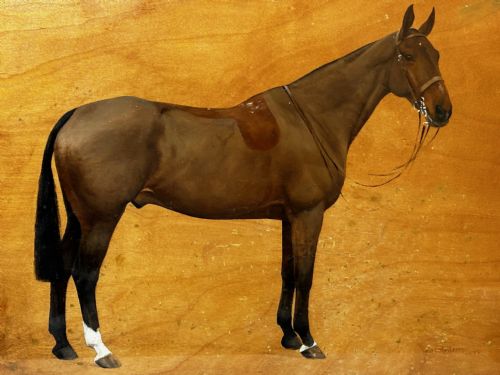fig 1. Oil Painting Kim Bay Hunter Horse By Frances Mabel Hollams