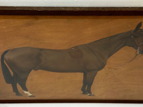 fig 4. Oil Painting Kim Bay Hunter Horse By Frances Mabel Hollams
