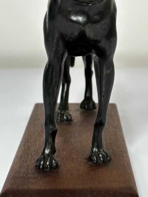 ART DECO PRIZED RACING GREYHOUND BRONZE SCULPTURE - ADDITIONAL PHOTO 23