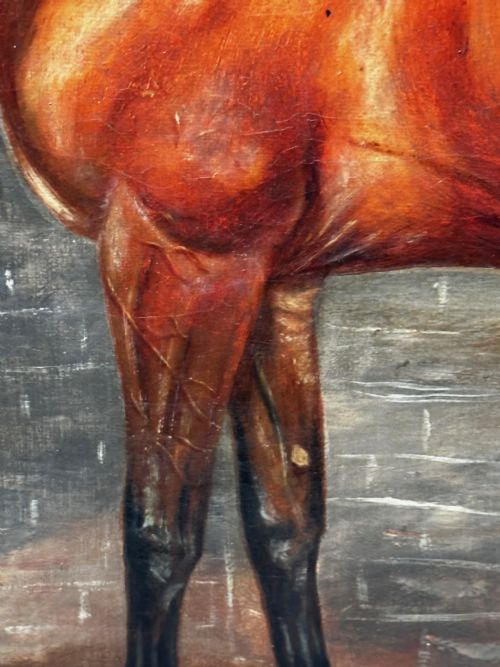 PAINTING THE MINT STALLION SIRE MANNER OF SIR ALFRED MUNNINGS - ADDITIONAL PHOTO 22