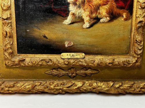 OIL PAINTING KITTEN PATIENCE BY FRANCISCO JOS DOMINGO Y MARQUS - ADDITIONAL PHOTO 6