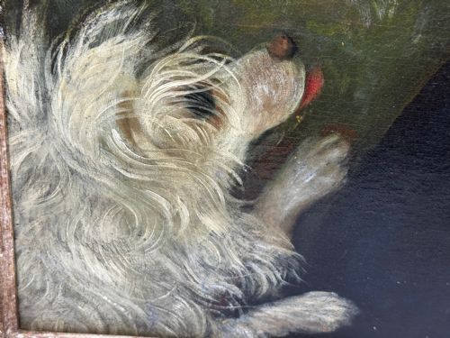 VICTORIAN OIL PAINTING ELIZA MADDOCK ONCHAN ISLE OF MAN HAVANESE DOG - ADDITIONAL PHOTO 7