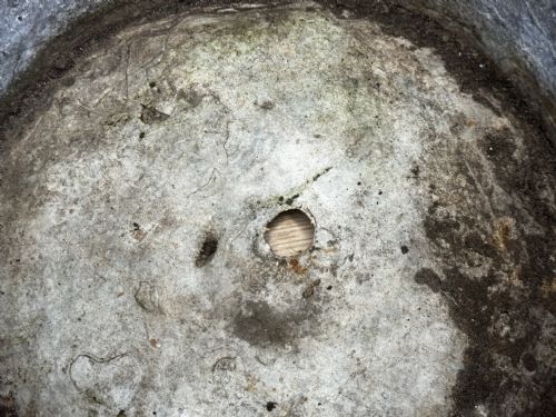 PAIR BRITISH GEORGIAN REGAL LION HEAVY LEAD GARDEN ROUND PLANTERS - ADDITIONAL PHOTO 20
