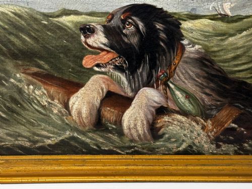 fig 4. An antique oil painting depicting a Saint Bernard dog swimming in sea waves while clinging to a wooden spar, set within a gilded wooden frame.