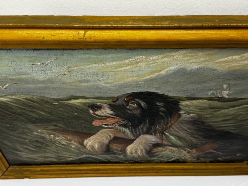 fig 5. An antique oil painting depicting a Saint Bernard dog swimming in sea waves while clinging to a wooden spar, set within a gilded wooden frame.