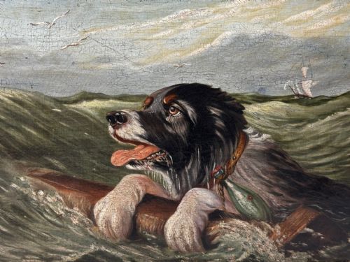 fig 6. An antique oil painting depicting a Saint Bernard dog swimming in sea waves while clinging to a wooden spar, set within a gilded wooden frame.