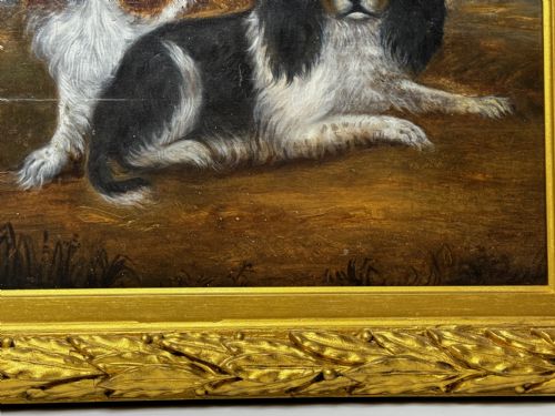 fig 6. A nineteenth-century oil painting depicting two King Charles Spaniels resting outdoors, enclosed within an ornate gilded frame decorated with carved laurel leaves.
