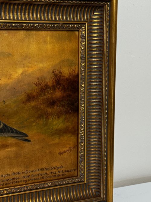 fig 2. Oil Painting Racing Pigeon Champion Edwins Pride By Andrew Beer