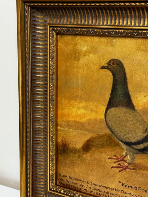 fig 3. Oil Painting Racing Pigeon Champion Edwins Pride By Andrew Beer