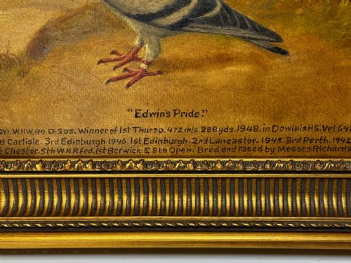fig 6. Oil Painting Racing Pigeon Champion Edwins Pride By Andrew Beer