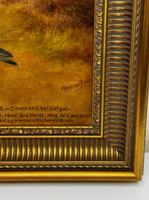 fig 8. Oil Painting Racing Pigeon Champion Edwins Pride By Andrew Beer