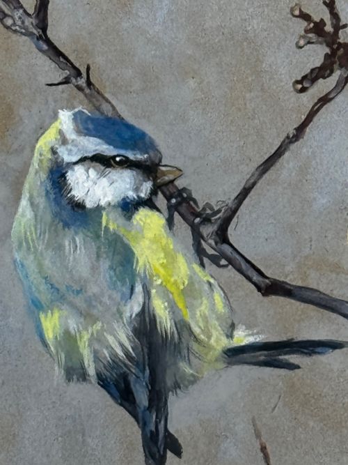 VICTORIAN WATERCOLOUR APPLE BLOSSOM BLUE TIT BIRD BY ARTHUR WARDLE - ADDITIONAL PHOTO 12