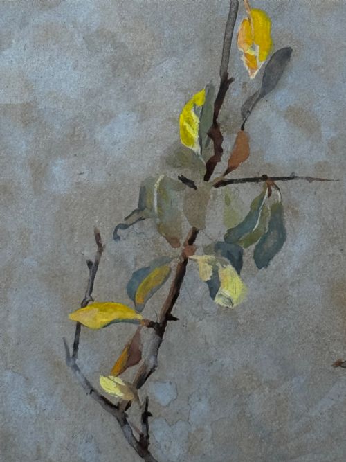 VICTORIAN WATERCOLOUR APPLE BLOSSOM BLUE TIT BIRD BY ARTHUR WARDLE - ADDITIONAL PHOTO 14