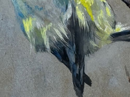 VICTORIAN WATERCOLOUR APPLE BLOSSOM BLUE TIT BIRD BY ARTHUR WARDLE - ADDITIONAL PHOTO 21