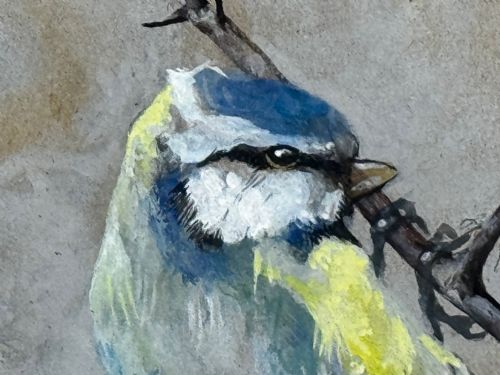 VICTORIAN WATERCOLOUR APPLE BLOSSOM BLUE TIT BIRD BY ARTHUR WARDLE - ADDITIONAL PHOTO 22