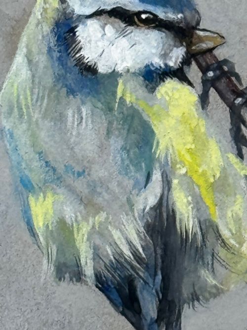 VICTORIAN WATERCOLOUR APPLE BLOSSOM BLUE TIT BIRD BY ARTHUR WARDLE - ADDITIONAL PHOTO 23