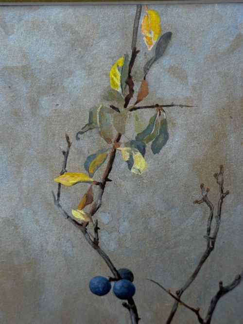 VICTORIAN WATERCOLOUR APPLE BLOSSOM BLUE TIT BIRD BY ARTHUR WARDLE - ADDITIONAL PHOTO 26