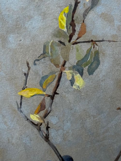 VICTORIAN WATERCOLOUR APPLE BLOSSOM BLUE TIT BIRD BY ARTHUR WARDLE - ADDITIONAL PHOTO 27