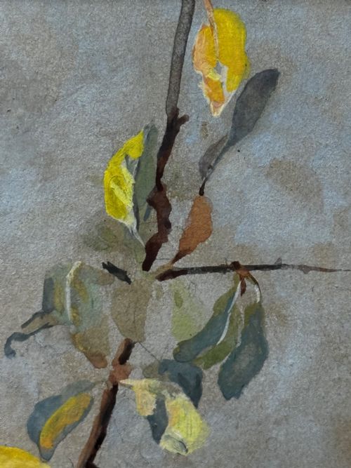 VICTORIAN WATERCOLOUR APPLE BLOSSOM BLUE TIT BIRD BY ARTHUR WARDLE - ADDITIONAL PHOTO 28