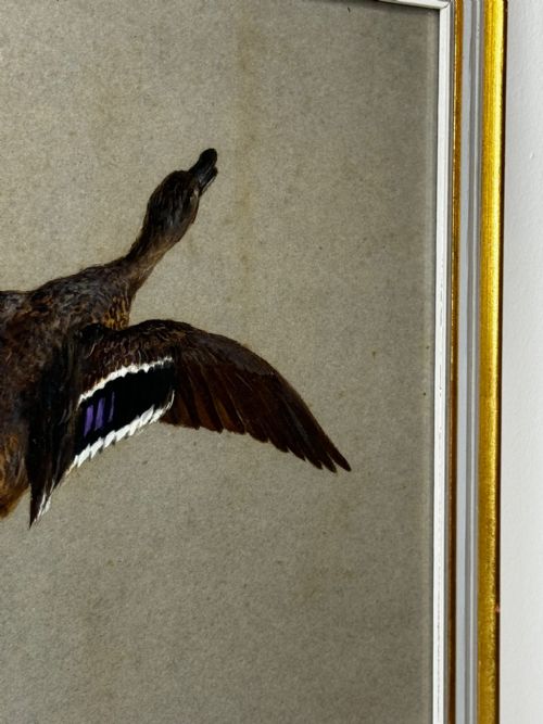 VICTORIAN PAINTING BIRDS TWO DUCKS FLYING AWAY BY THOMAS BLINKS - ADDITIONAL PHOTO 4