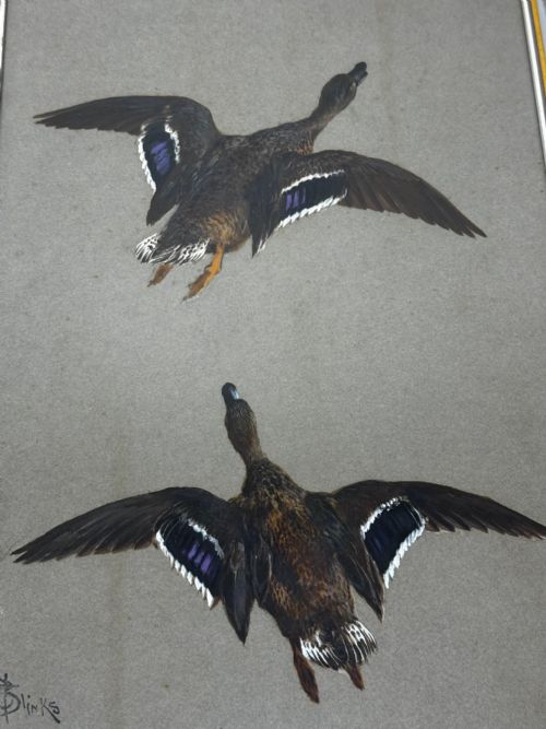 VICTORIAN PAINTING BIRDS TWO DUCKS FLYING AWAY BY THOMAS BLINKS - ADDITIONAL PHOTO 8