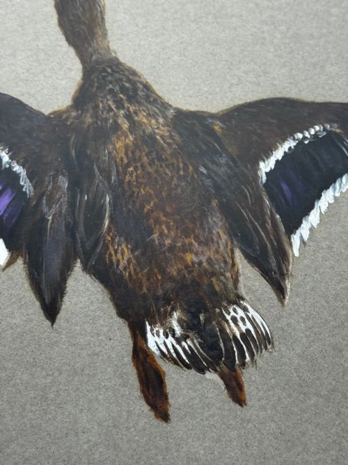 VICTORIAN PAINTING BIRDS TWO DUCKS FLYING AWAY BY THOMAS BLINKS - ADDITIONAL PHOTO 9