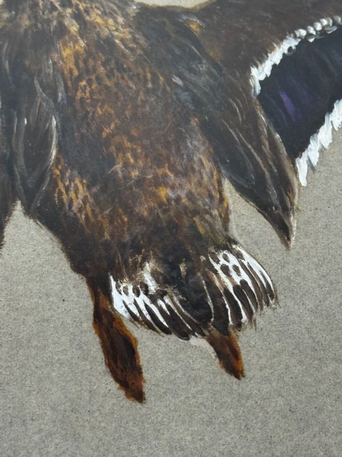 VICTORIAN PAINTING BIRDS TWO DUCKS FLYING AWAY BY THOMAS BLINKS - ADDITIONAL PHOTO 10