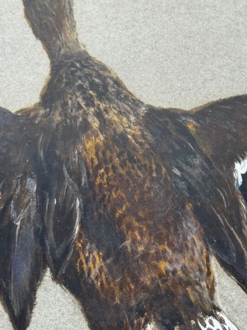 VICTORIAN PAINTING BIRDS TWO DUCKS FLYING AWAY BY THOMAS BLINKS - ADDITIONAL PHOTO 13