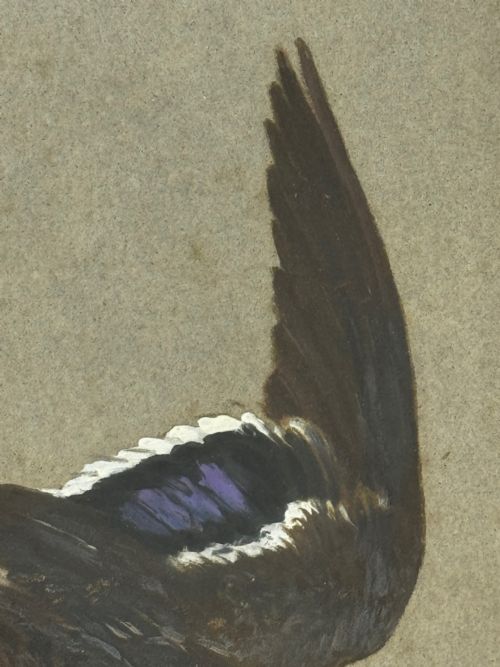 VICTORIAN PAINTING BIRDS TWO DUCKS FLYING AWAY BY THOMAS BLINKS - ADDITIONAL PHOTO 18