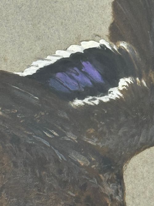 VICTORIAN PAINTING BIRDS TWO DUCKS FLYING AWAY BY THOMAS BLINKS - ADDITIONAL PHOTO 19