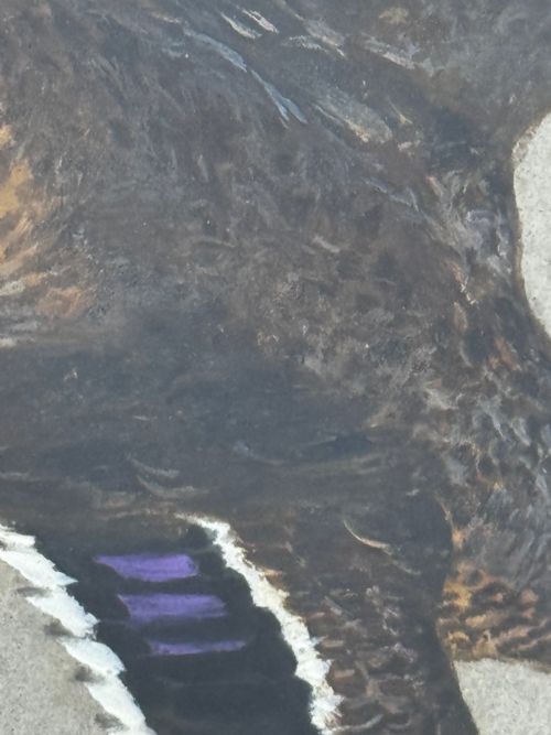 VICTORIAN PAINTING BIRDS TWO DUCKS FLYING AWAY BY THOMAS BLINKS - ADDITIONAL PHOTO 20