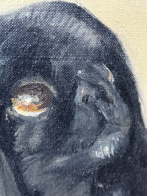 OIL PAINTING PEKINGESE DOG WATCHING BUTTERFLY PAUL DESMOND FITZGERALD - ADDITIONAL PHOTO 25