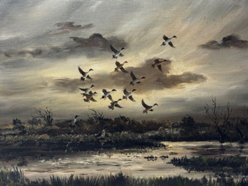 OIL PAINTING CANADIAN DUCKS PINTAILS FLUSHED OUT DUCK DUCK GO - ADDITIONAL PHOTO 1