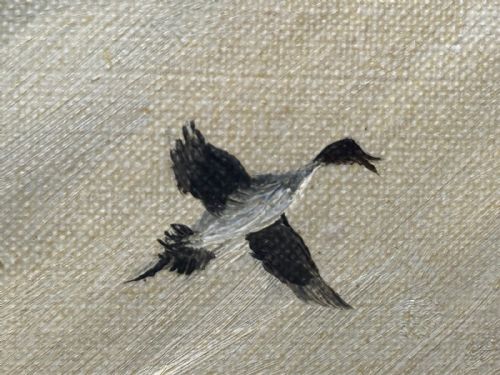 OIL PAINTING CANADIAN DUCKS PINTAILS FLUSHED OUT DUCK DUCK GO - ADDITIONAL PHOTO 7
