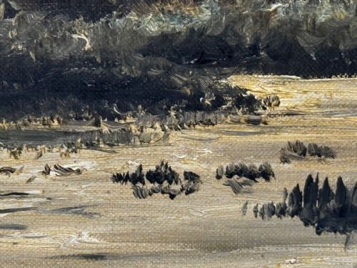 OIL PAINTING CANADIAN DUCKS PINTAILS FLUSHED OUT DUCK DUCK GO - ADDITIONAL PHOTO 9