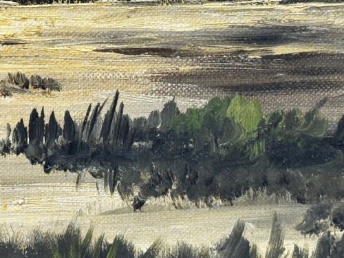 OIL PAINTING CANADIAN DUCKS PINTAILS FLUSHED OUT DUCK DUCK GO - ADDITIONAL PHOTO 10