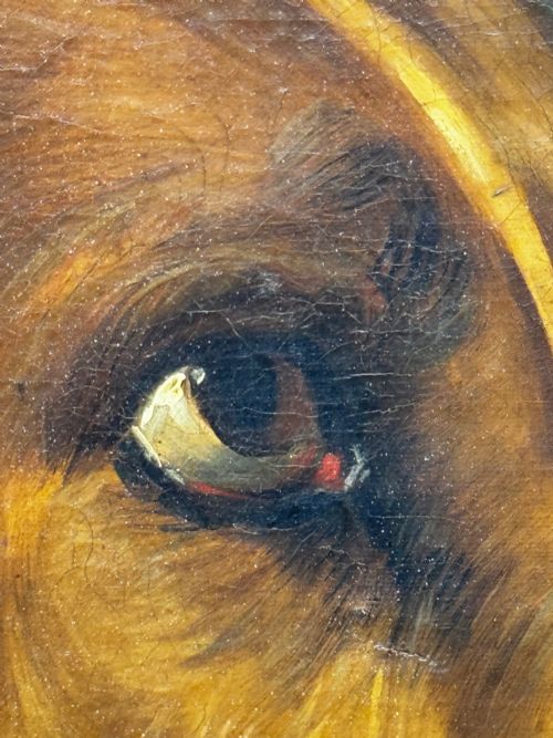LARGE OIL PAINTING LANDSEER'S MASTIFF BLOODHOUND PRIZED DOG ODIN - ADDITIONAL PHOTO 17
