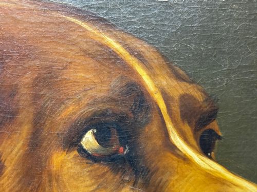 LARGE OIL PAINTING LANDSEER'S MASTIFF BLOODHOUND PRIZED DOG ODIN - ADDITIONAL PHOTO 26