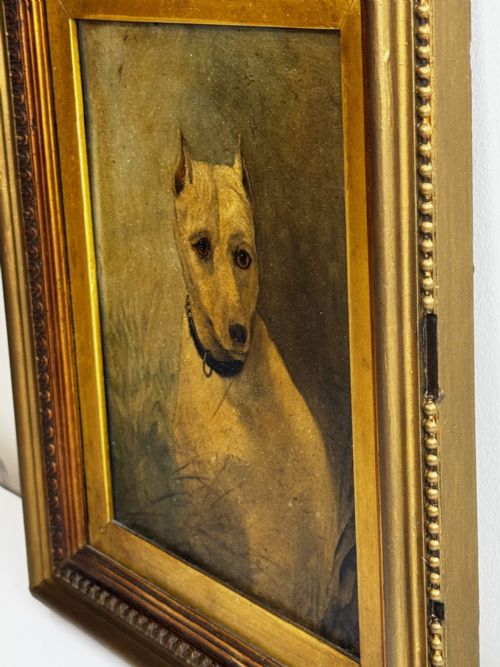OIL PAINTING SAD WHITE ENGLISH TERRIER DOG FOLLOWER OF JOHN EMMS - ADDITIONAL PHOTO 1