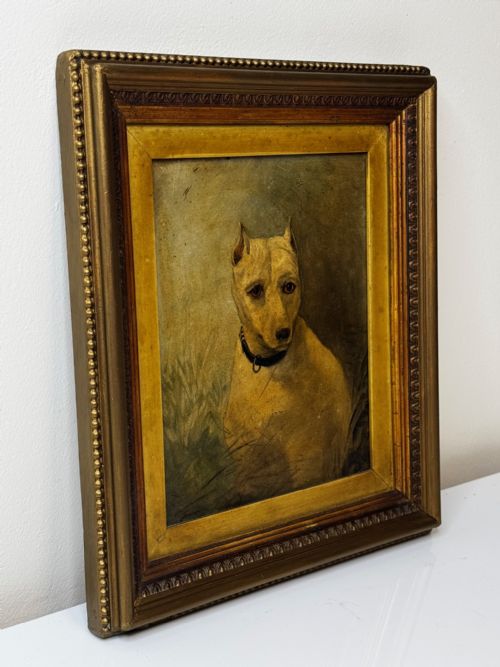 OIL PAINTING SAD WHITE ENGLISH TERRIER DOG FOLLOWER OF JOHN EMMS - ADDITIONAL PHOTO 4