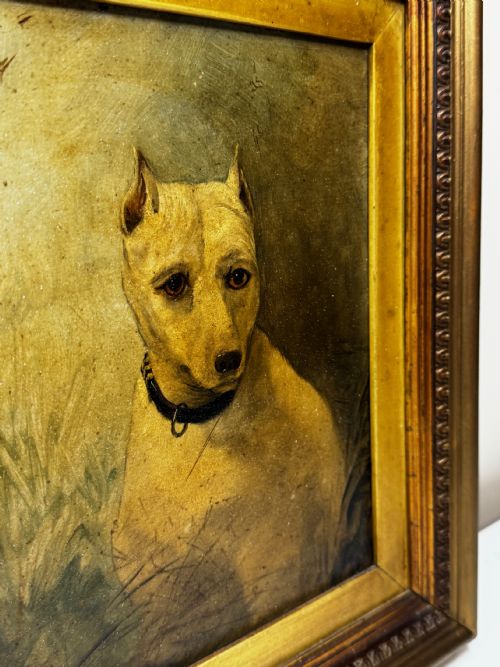 OIL PAINTING SAD WHITE ENGLISH TERRIER DOG FOLLOWER OF JOHN EMMS - ADDITIONAL PHOTO 9