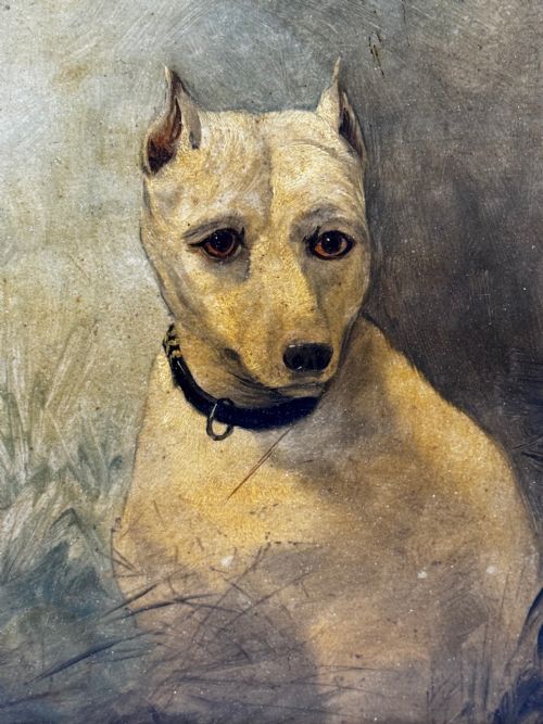 OIL PAINTING SAD WHITE ENGLISH TERRIER DOG FOLLOWER OF JOHN EMMS - ADDITIONAL PHOTO 11